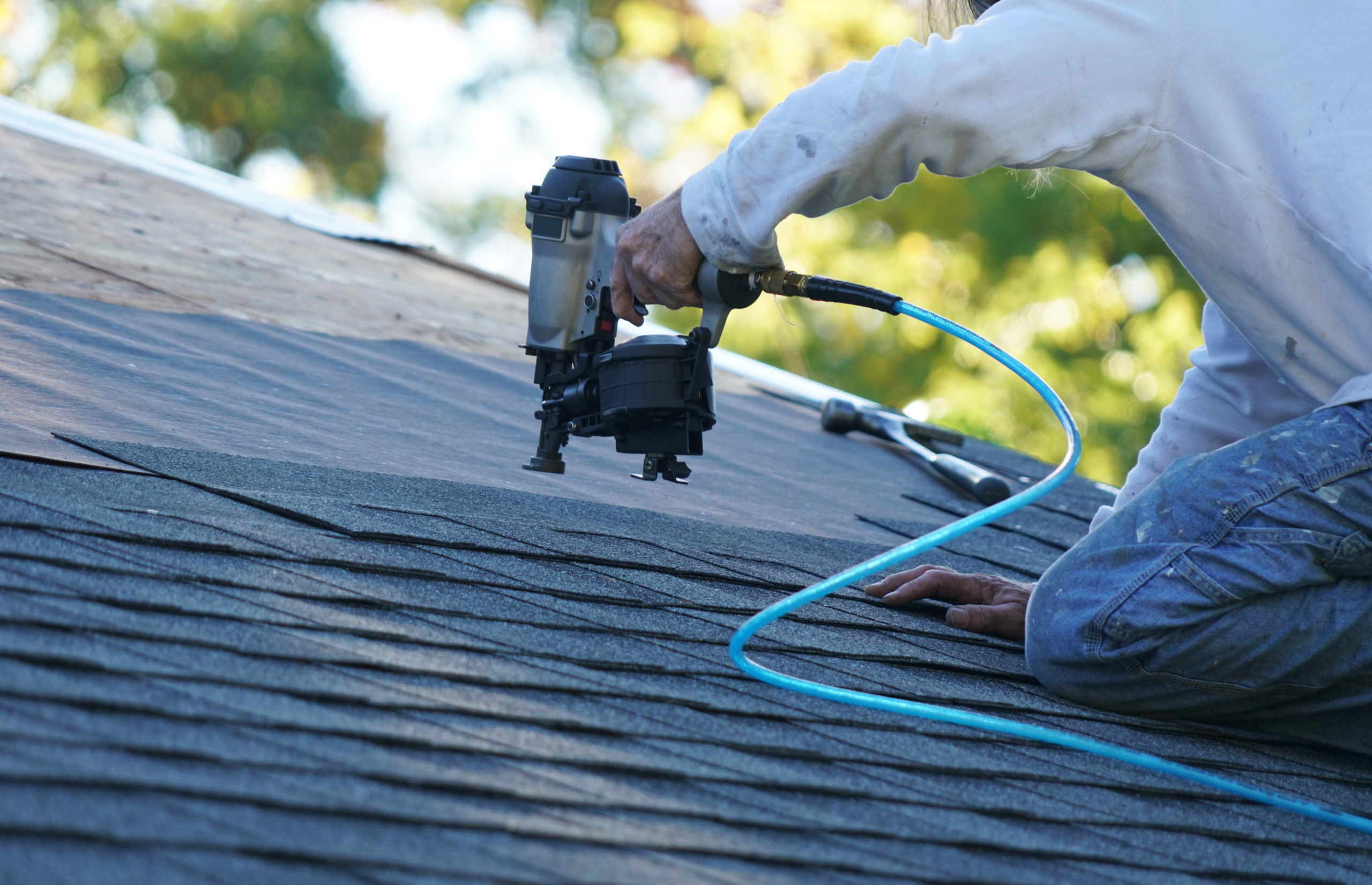 Shingle Roofing example 2